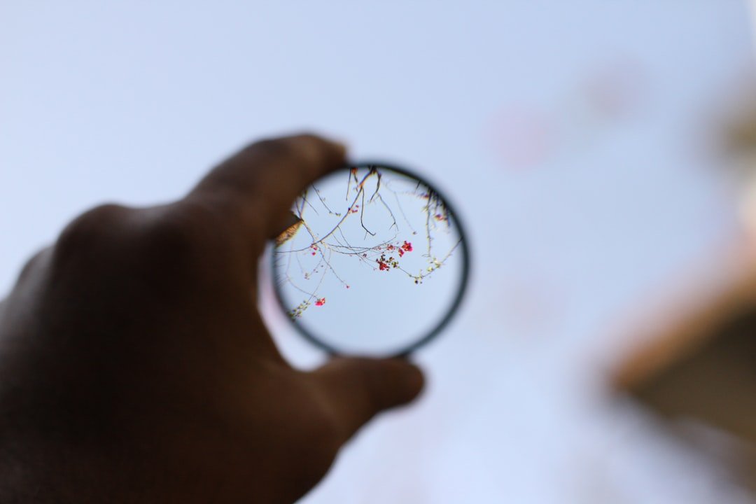 Hand holding a magnifying glass over red berries.